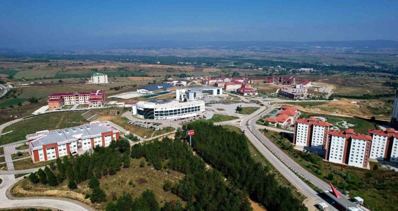 Kastamonu Üniversitesi, Times Higher Education Disiplinlerarası Bilim Sıralamasında 301-350 bandında yer aldı