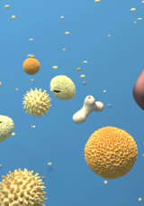 Kış geldi, hastalıklar kapıyı çaldı