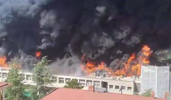 SON DAKİKA… İtalya’da Korkutan Yangın: Tuscia Üniversitesi’nden Alevler Yükseldi!