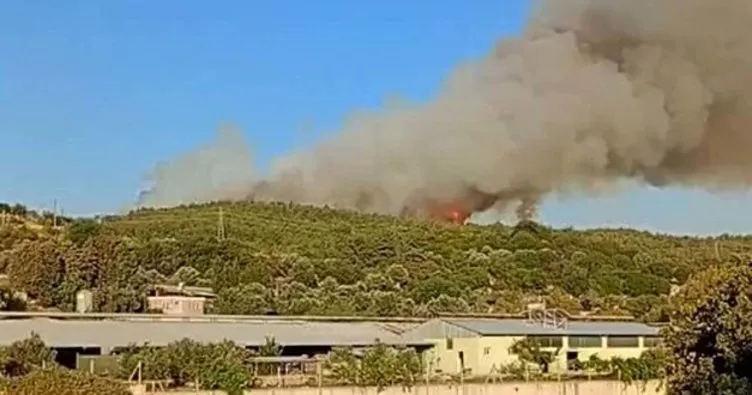 İzmir’de orman yangını! Ekiplerin havadan ve karadan müdahalesi sürüyor