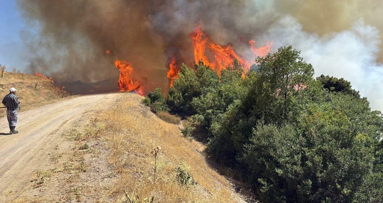 Manisa’da tarım arazisinde yangın