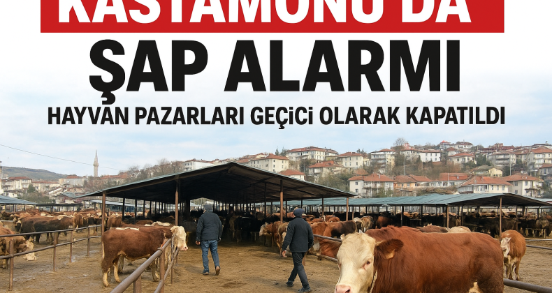 Kastamonu’da Şap Alarmı: İlçe İlçe Önlemler, Çiftçi Bekleyişte