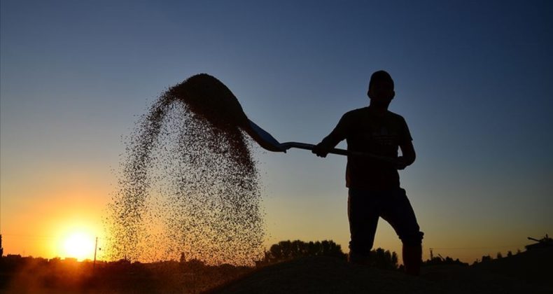 Çiftçilere 320,6 milyon lira destekleme ödemesi yapıldı