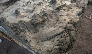 5 bin yıllık iskelet şaşırttı! Taş Devri’nden kalma gizemli bir gömü…