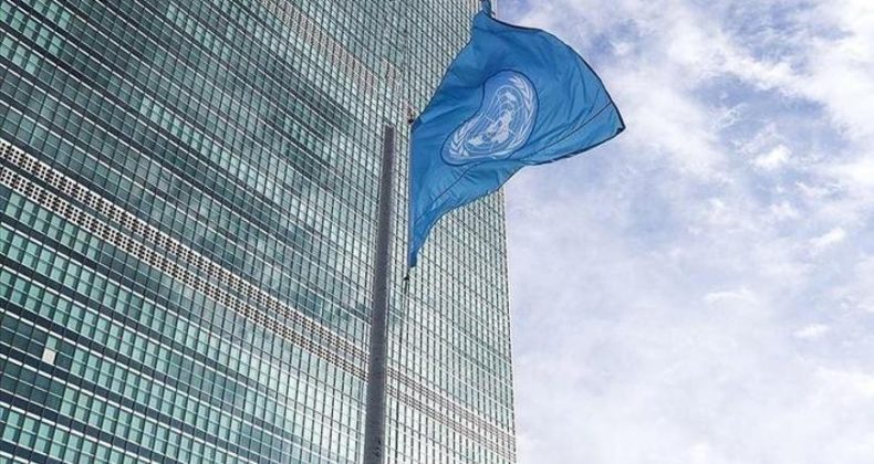 BM Gıda ve Tarım Örgütünden